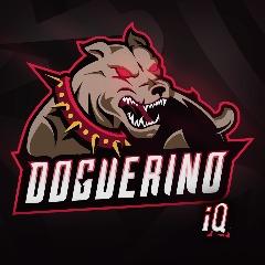 Player Dil3Ctio avatar