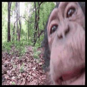 n0tap69 avatar