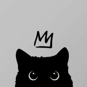 Ho_0ka avatar