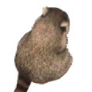 FlipFries avatar