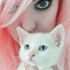 lol_pro200 avatar