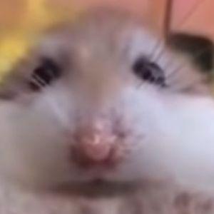 Daniel_exe avatar