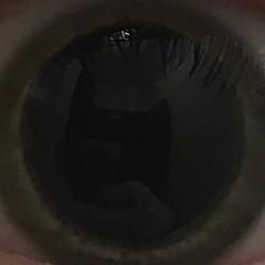 Player J0yDivisi0n avatar