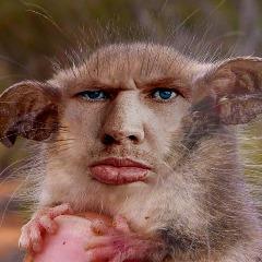 OmegaLyl avatar