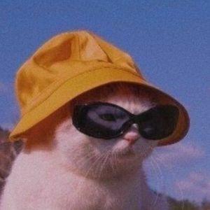 ABOZIVA123 avatar