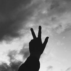 d4rkciitox avatar