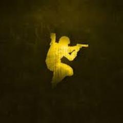SirMaxLife