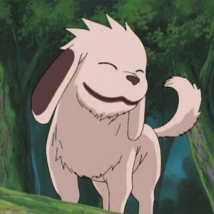 mustflyBEAST avatar