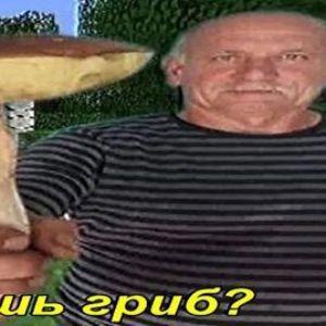 Alex_Mushrom