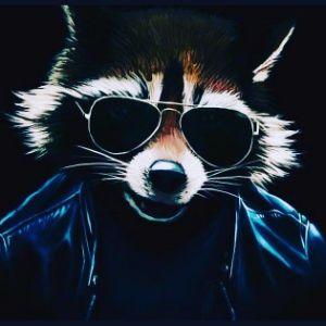 Gusb13 avatar