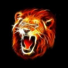 Sparka5 avatar