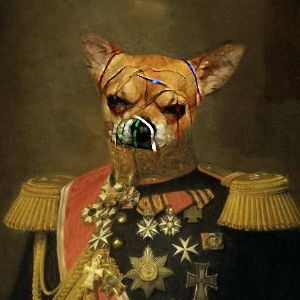 MajestyIV