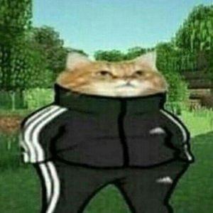 Emplyexe