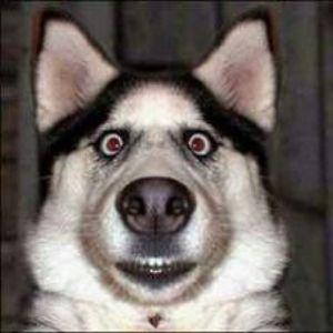 TwistTVru avatar