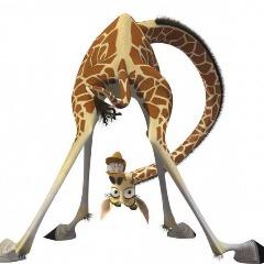 girafee avatar