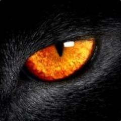 matekxdd avatar