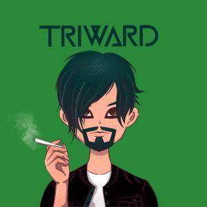 triward22 avatar