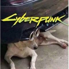 Genedefekt avatar