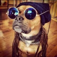 _P1xEL avatar