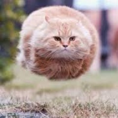 Chatblier