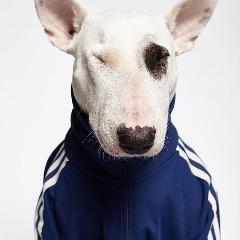 JekiCh4n avatar