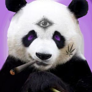 GreenPanda21