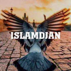 isLamDjaN avatar