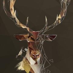 Loryte avatar