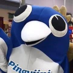 Wairii avatar