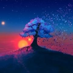 NEVERMINDFR avatar