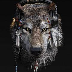 BupkaGop avatar