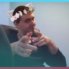 PingWolf avatar