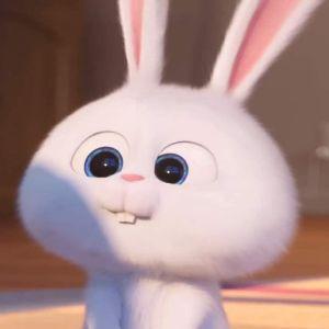 EnWhyEs avatar