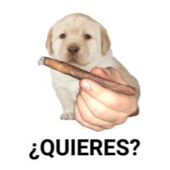 Matumba420 avatar