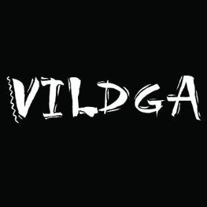 Player Vildga avatar