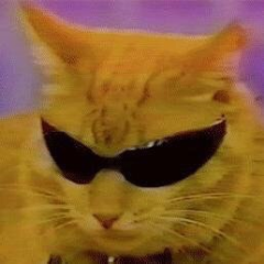 egorkA1337 avatar