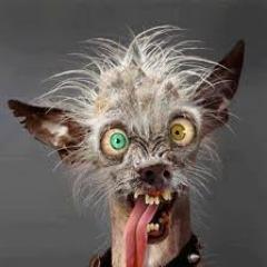 desmot avatar