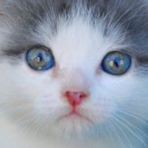 Un1Uk avatar
