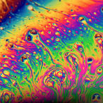 bubsten