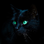 Vasuka_48 avatar