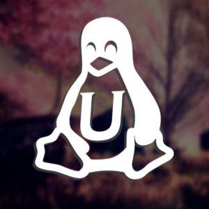 Player Flayzy_ avatar