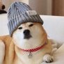 Player Foxxas avatar
