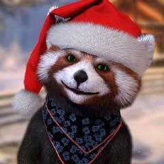 ENOT1XENOT avatar