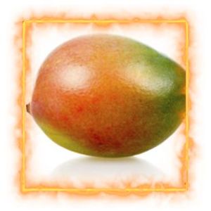Mango_DK