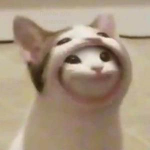 pipaguy