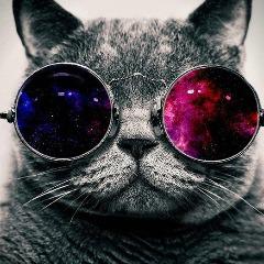 M3nt0s91