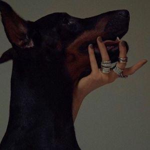 Mousethedobb avatar