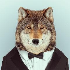 Player Kaeppen avatar
