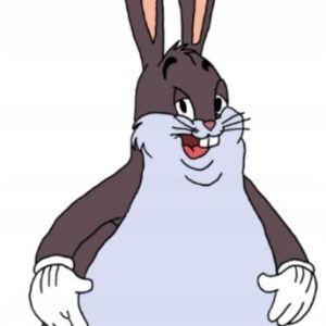 Player rencz_BOT avatar