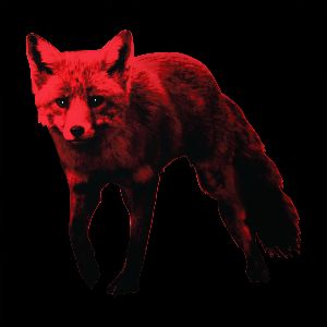 Faceit profile picture for @shepherd